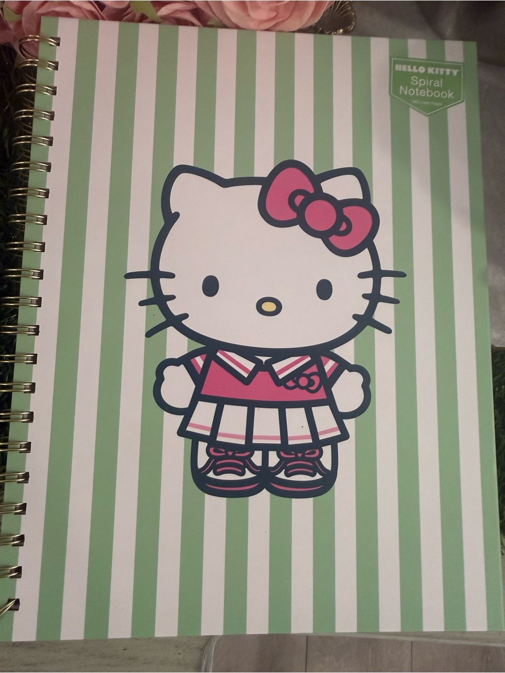 Sanrio Hello Kitty Spiral Notebook - pickleball
